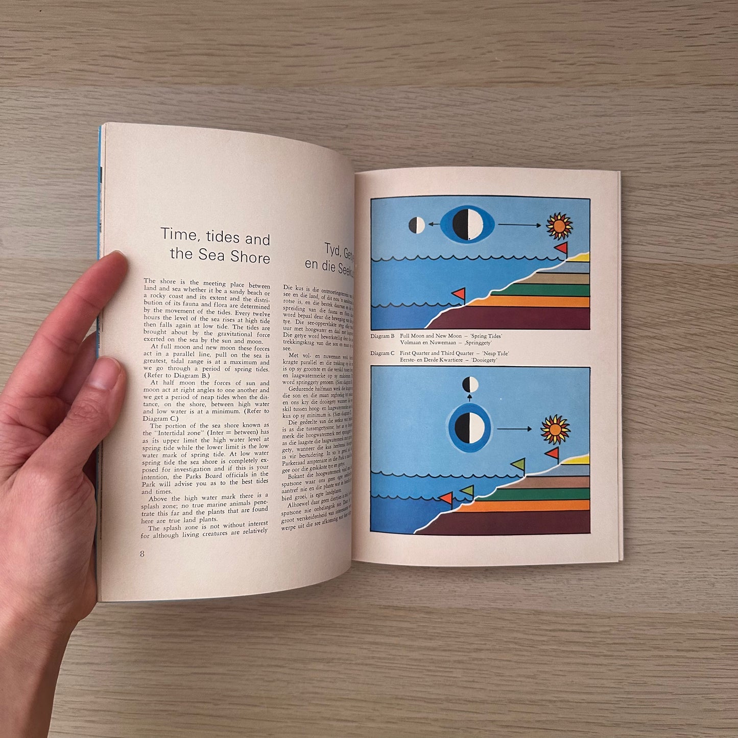 Tsitsikama Shore | R.M. Tietz & Dr. G.A. Robinson