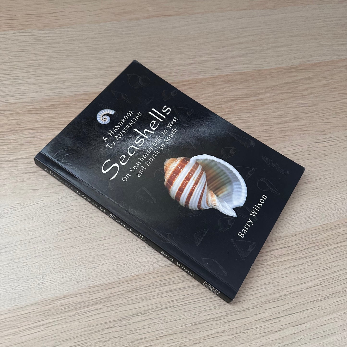 Seashells | Barry Wilson