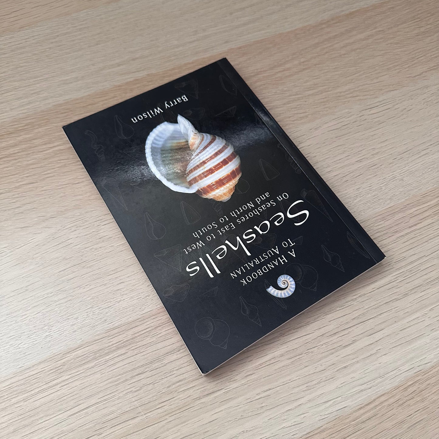 Seashells | Barry Wilson