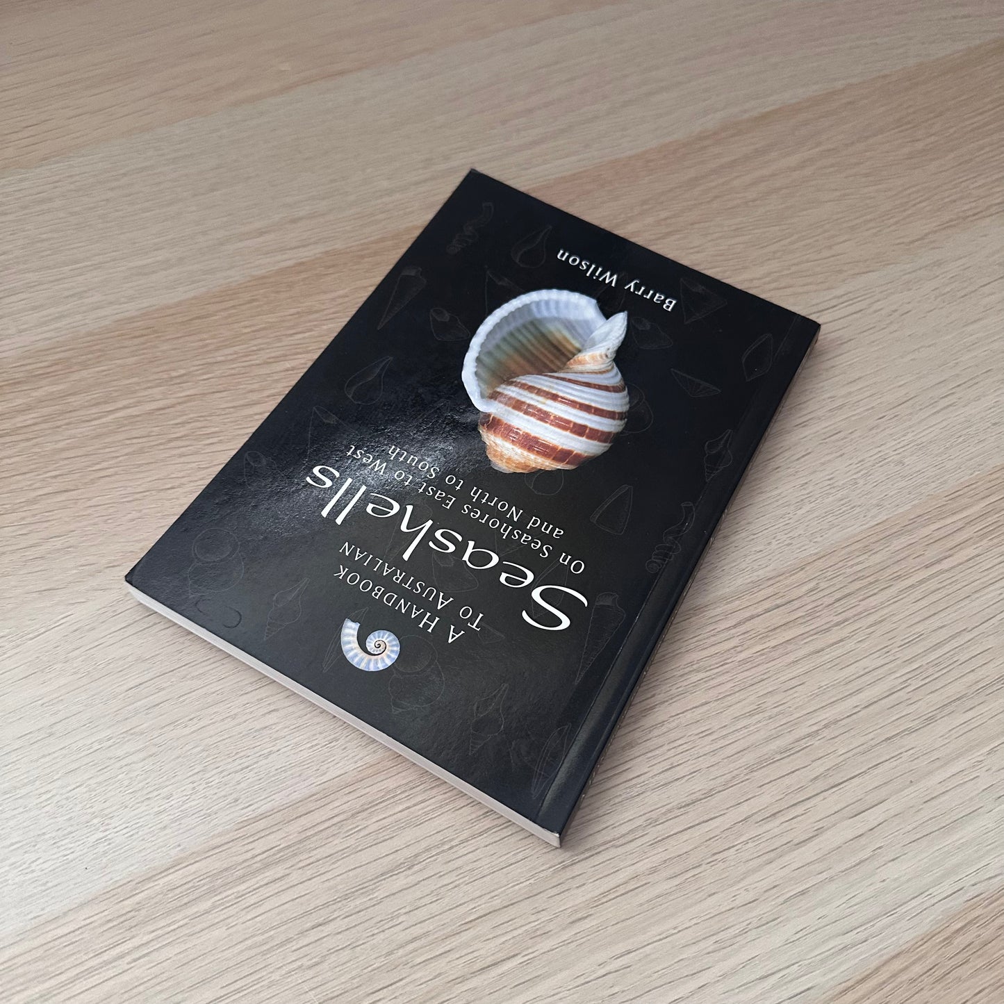 Seashells | Barry Wilson