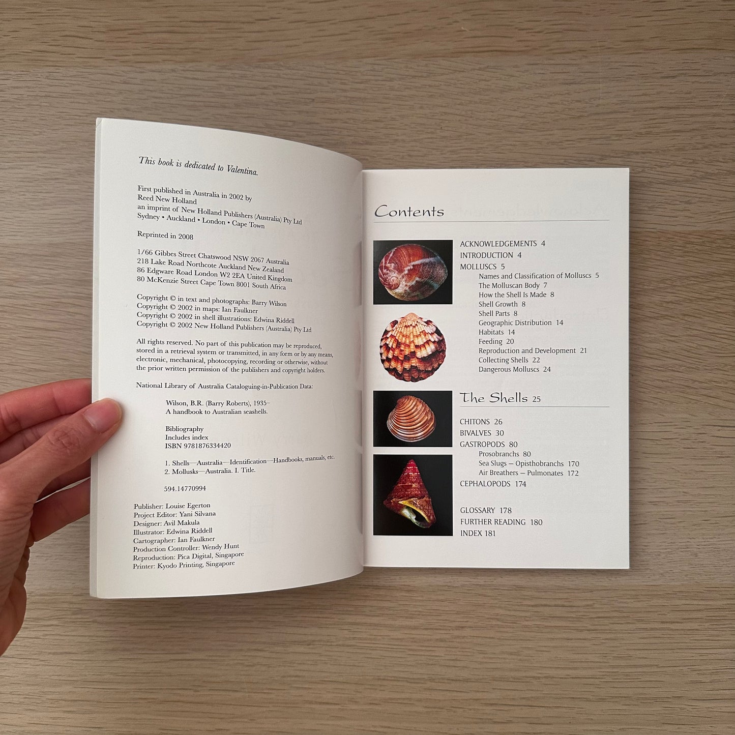 Seashells | Barry Wilson