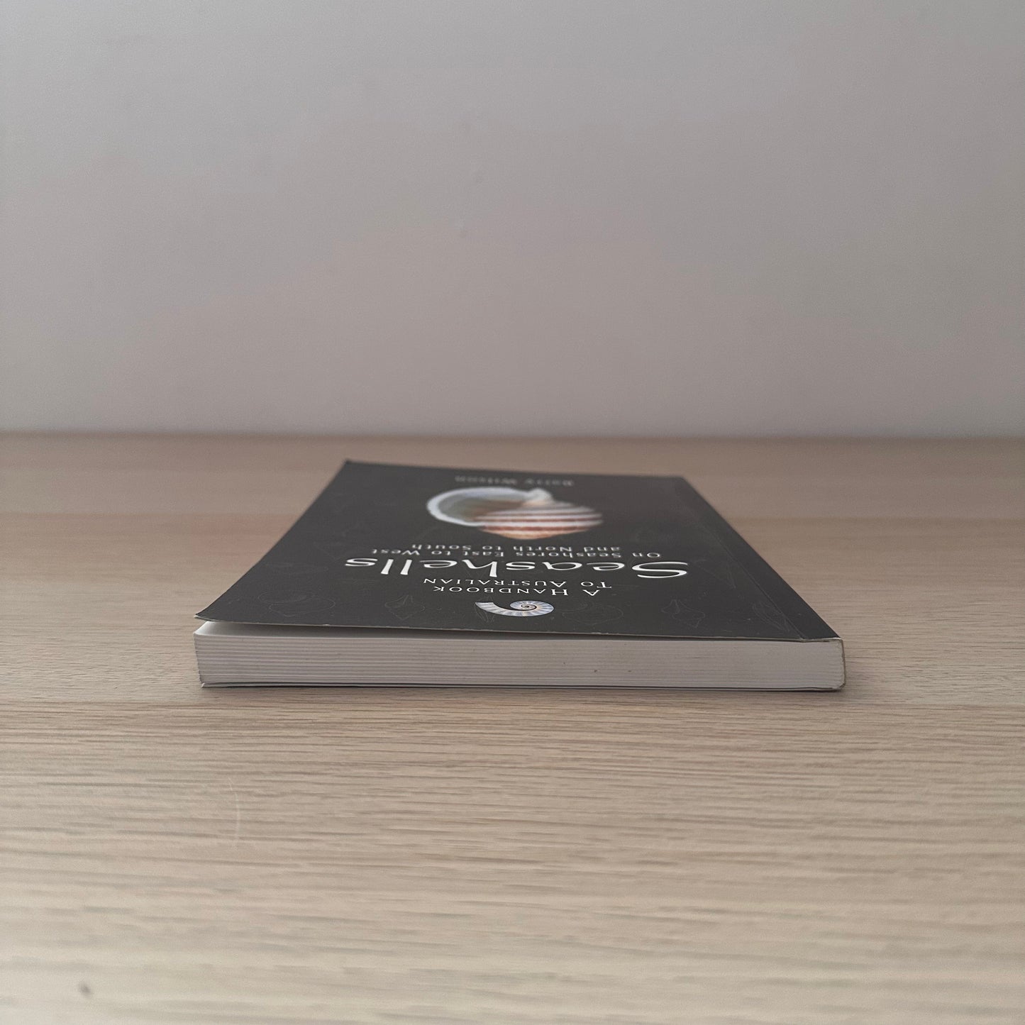 Seashells | Barry Wilson