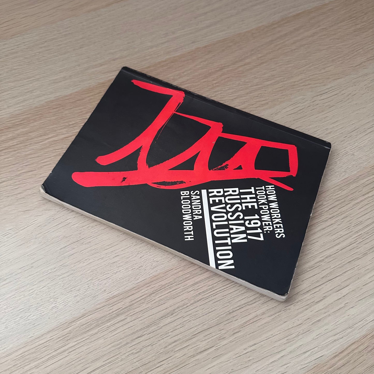 How Workers Took Power | Sandra Bloodworth