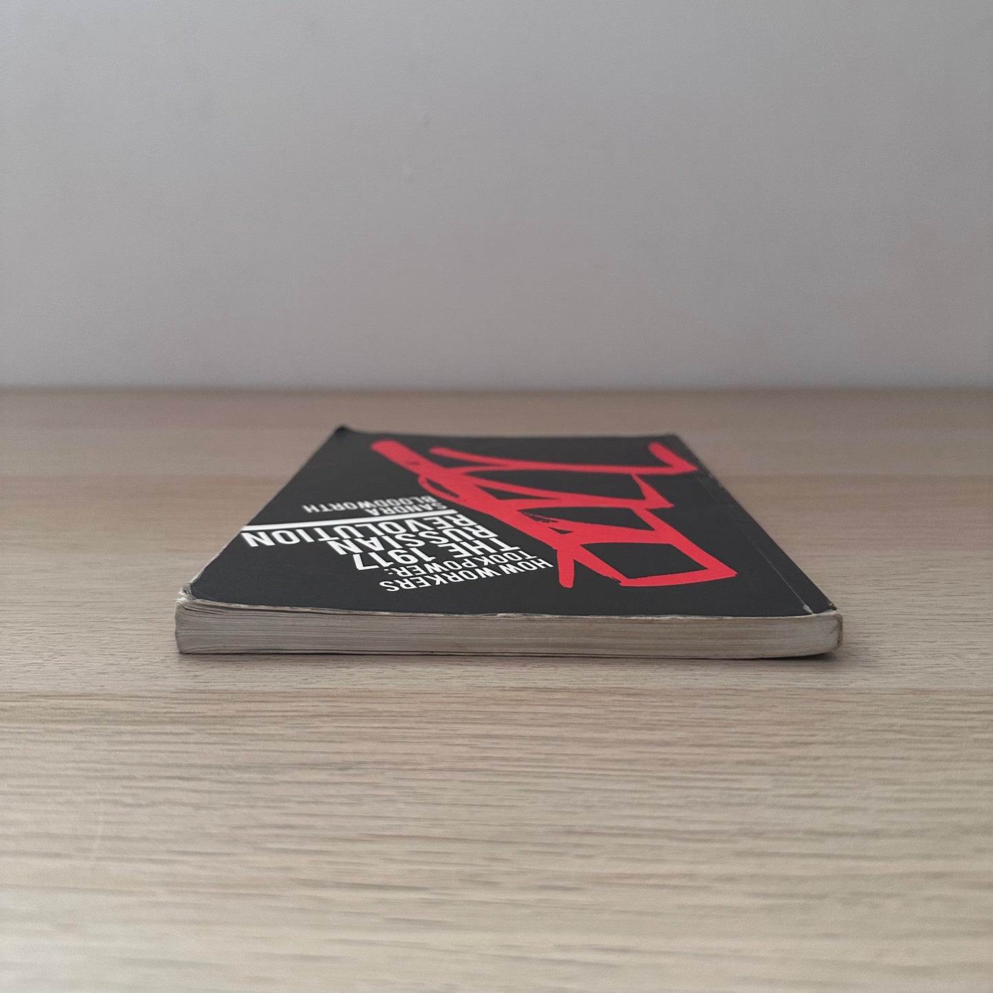 How Workers Took Power | Sandra Bloodworth