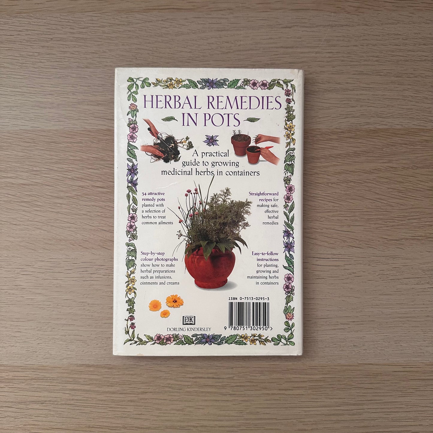 Herbal Remedies in Pots | Effie Romain & Sue Hawkey