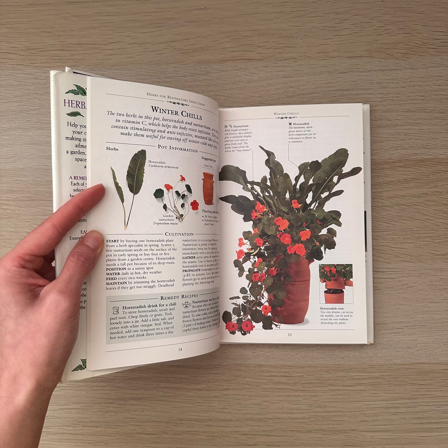 Herbal Remedies in Pots | Effie Romain & Sue Hawkey