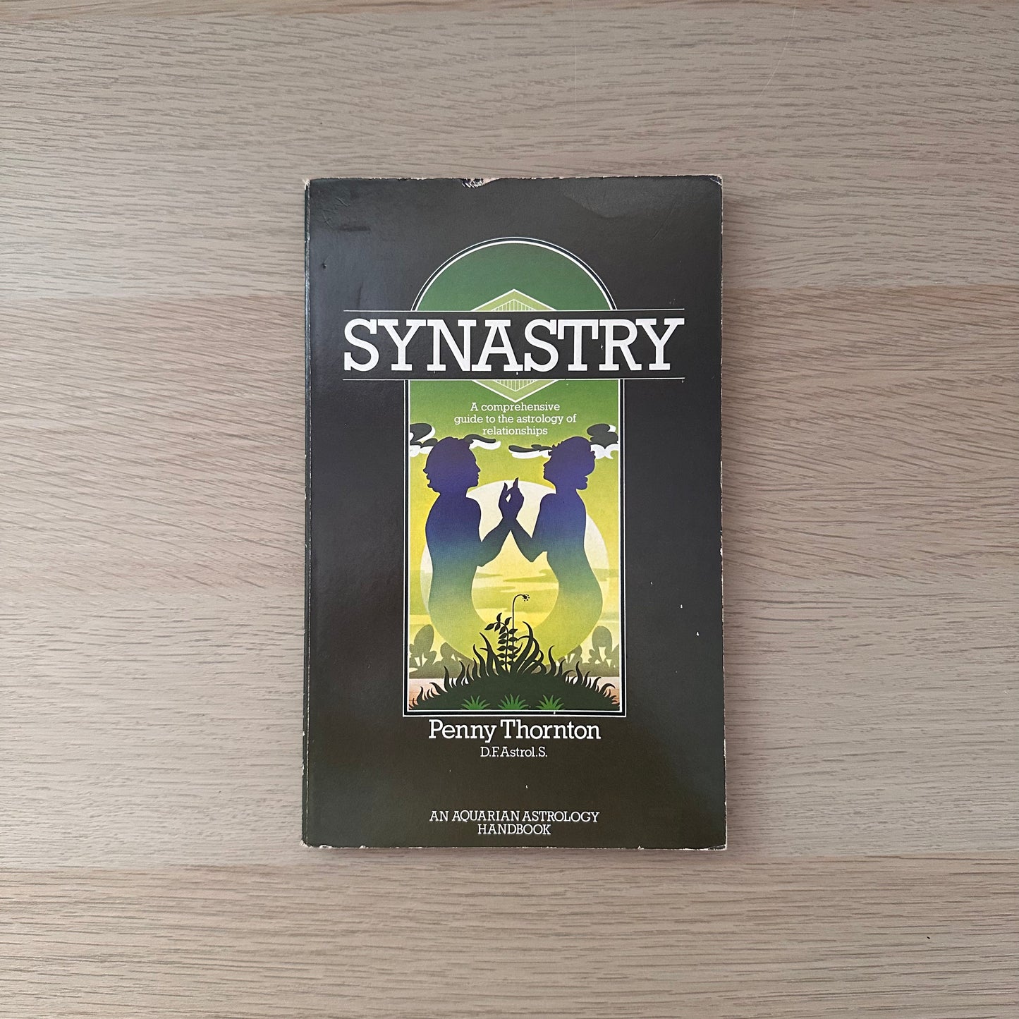 Synastry | Penny Thornton