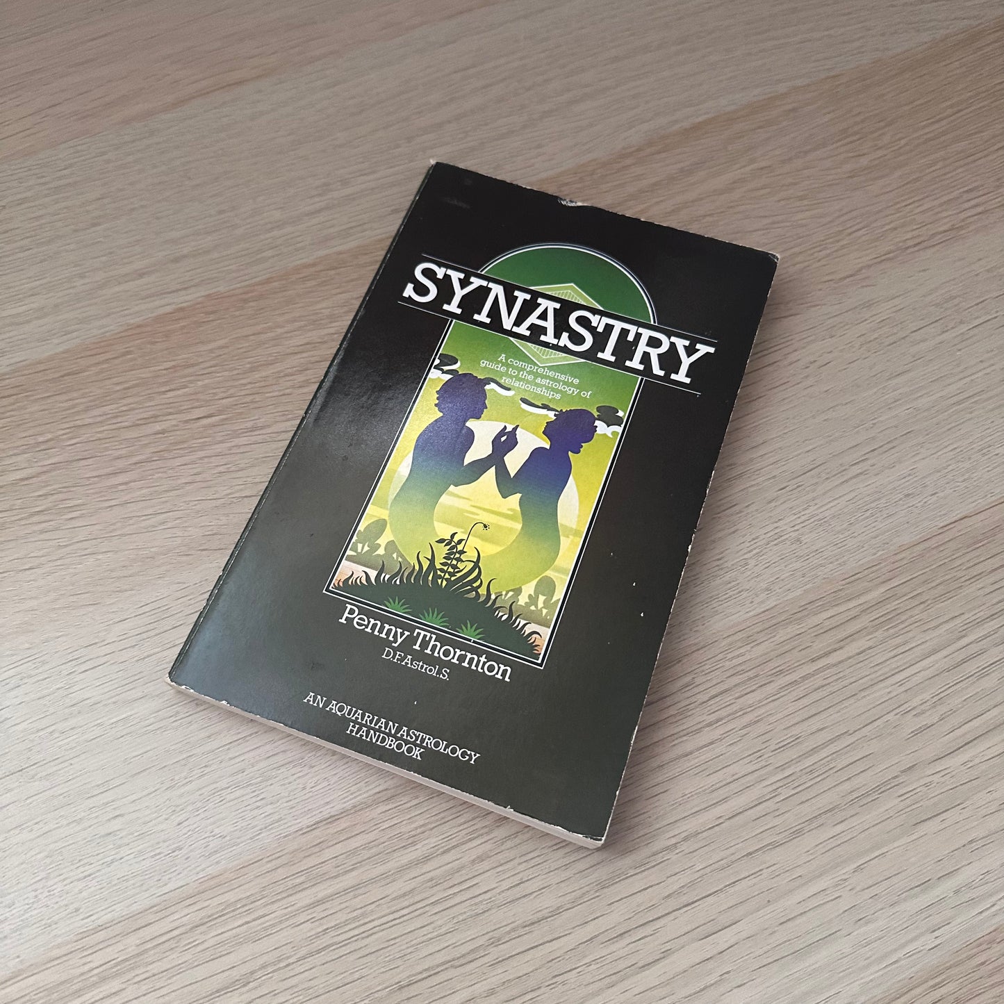 Synastry | Penny Thornton