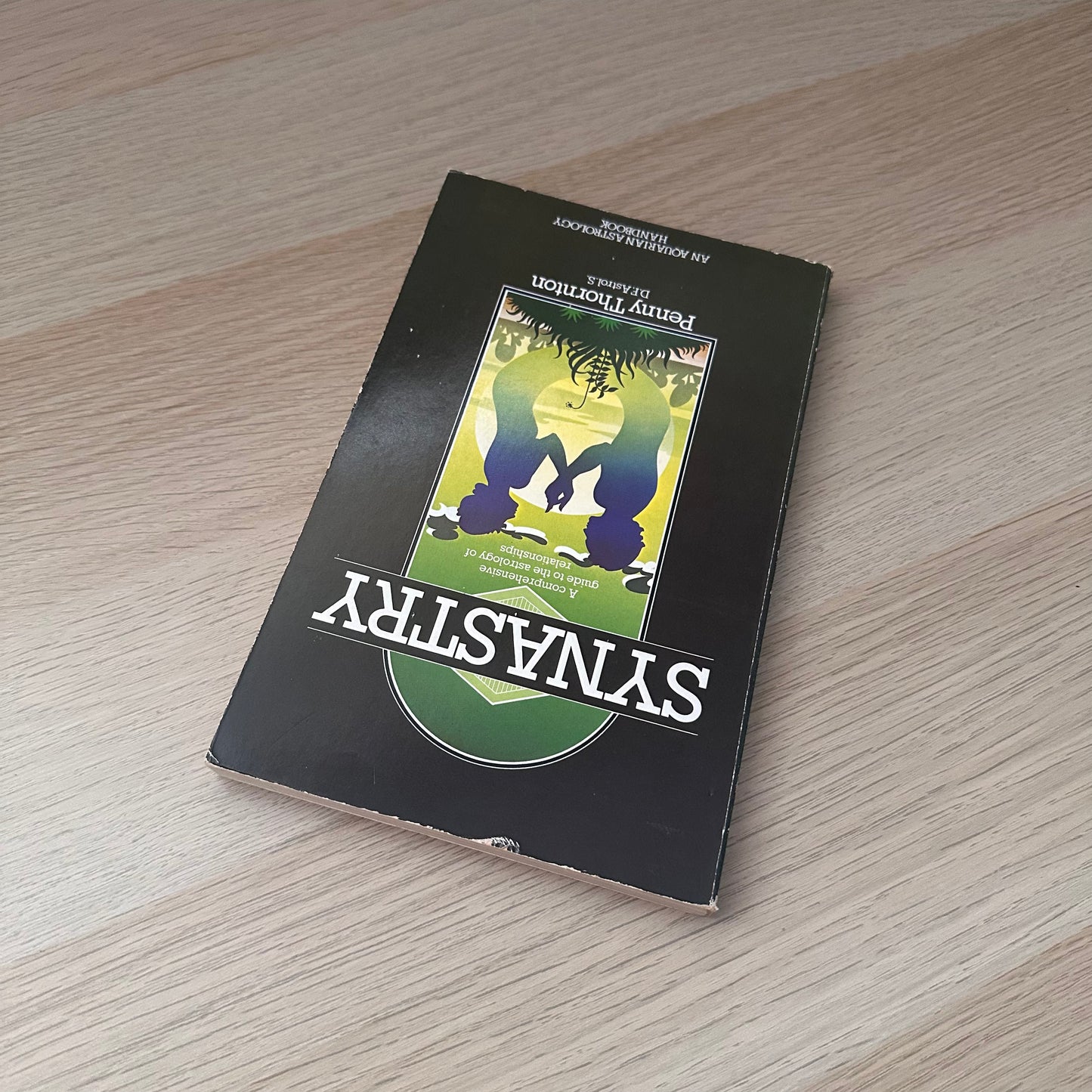 Synastry | Penny Thornton