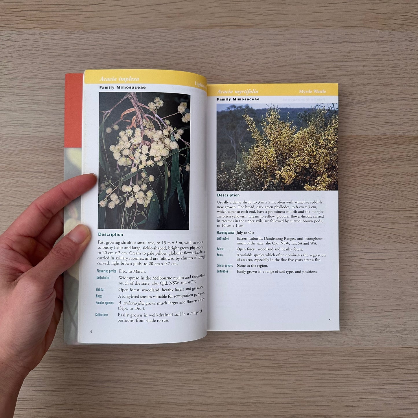 Native Plants | Barbara Jones & David Jones