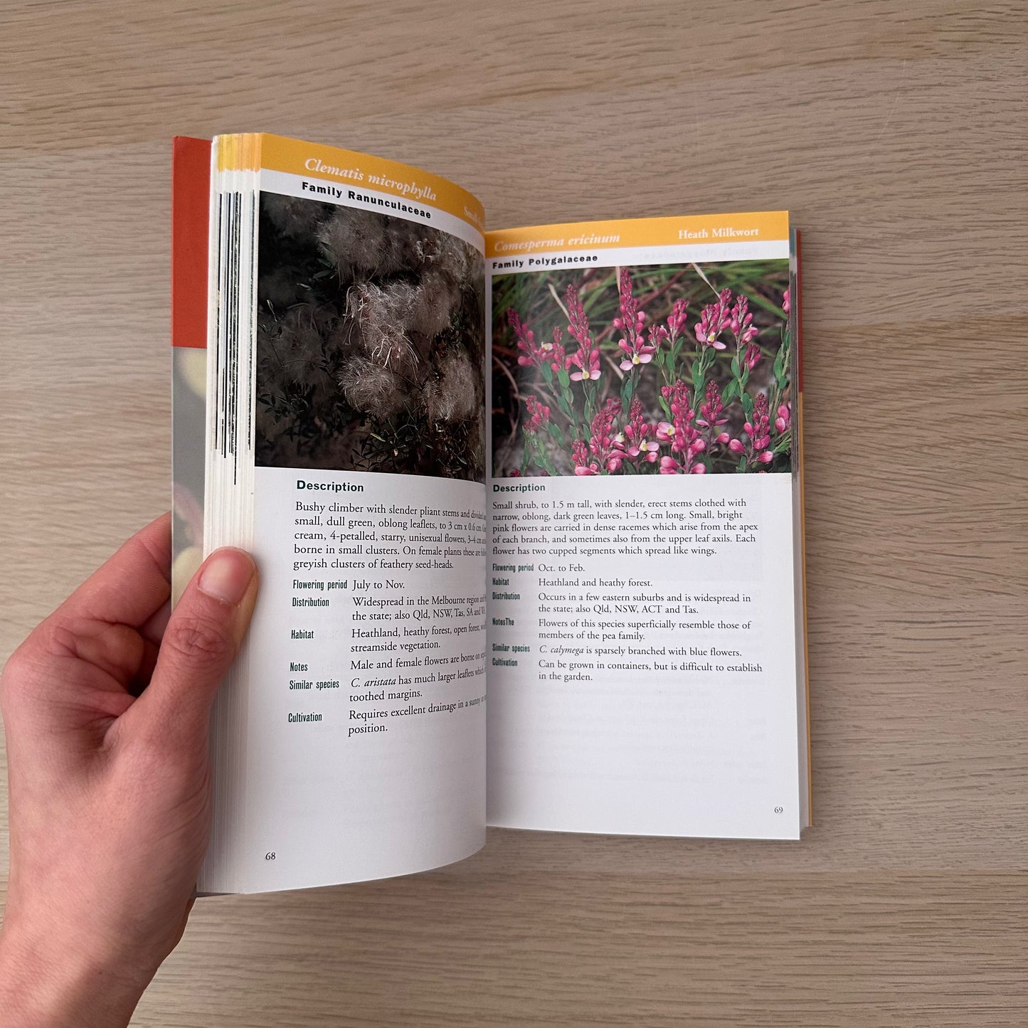 Native Plants | Barbara Jones & David Jones