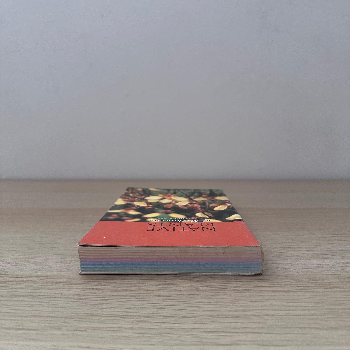 Native Plants | Barbara Jones & David Jones