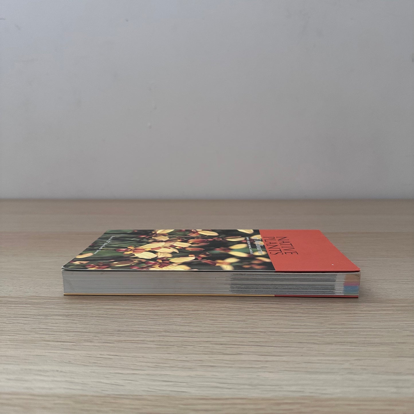 Native Plants | Barbara Jones & David Jones