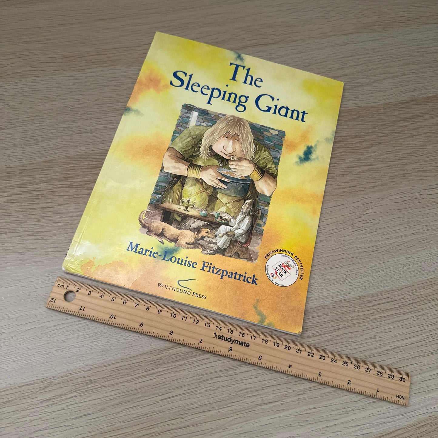 The Sleeping Giant | 2002 | Paperback | Marie-Louise Fitzpatrick