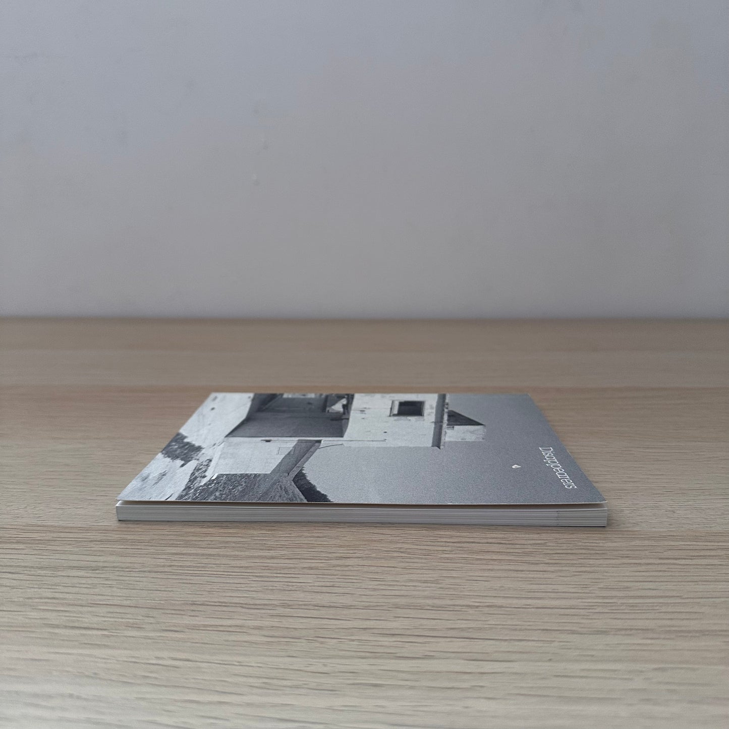 Disappearers | Art Catalogue 2009 - 2010 | Simon Gregg