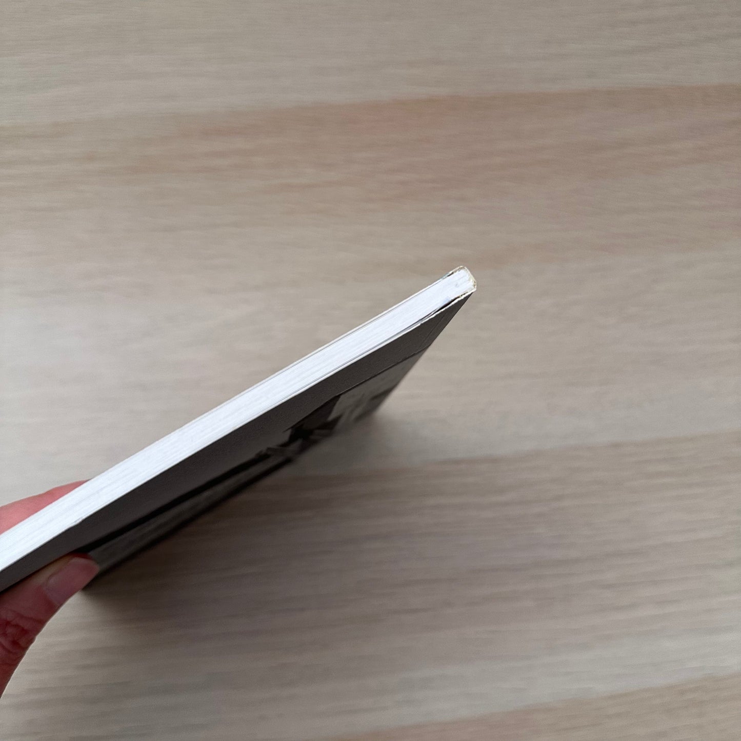 Disappearers | Art Catalogue 2009 - 2010 | Simon Gregg