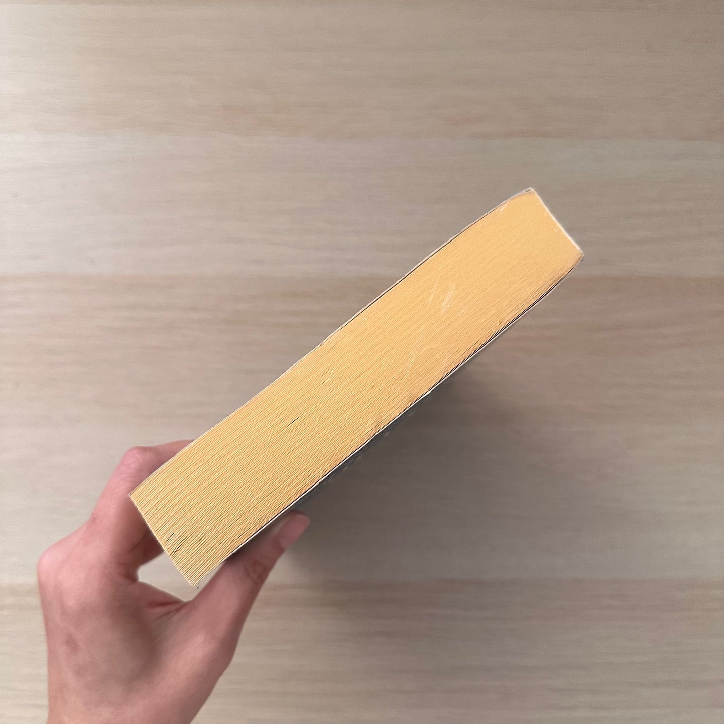 The Immortal Bind | Paperback | Traci Harding