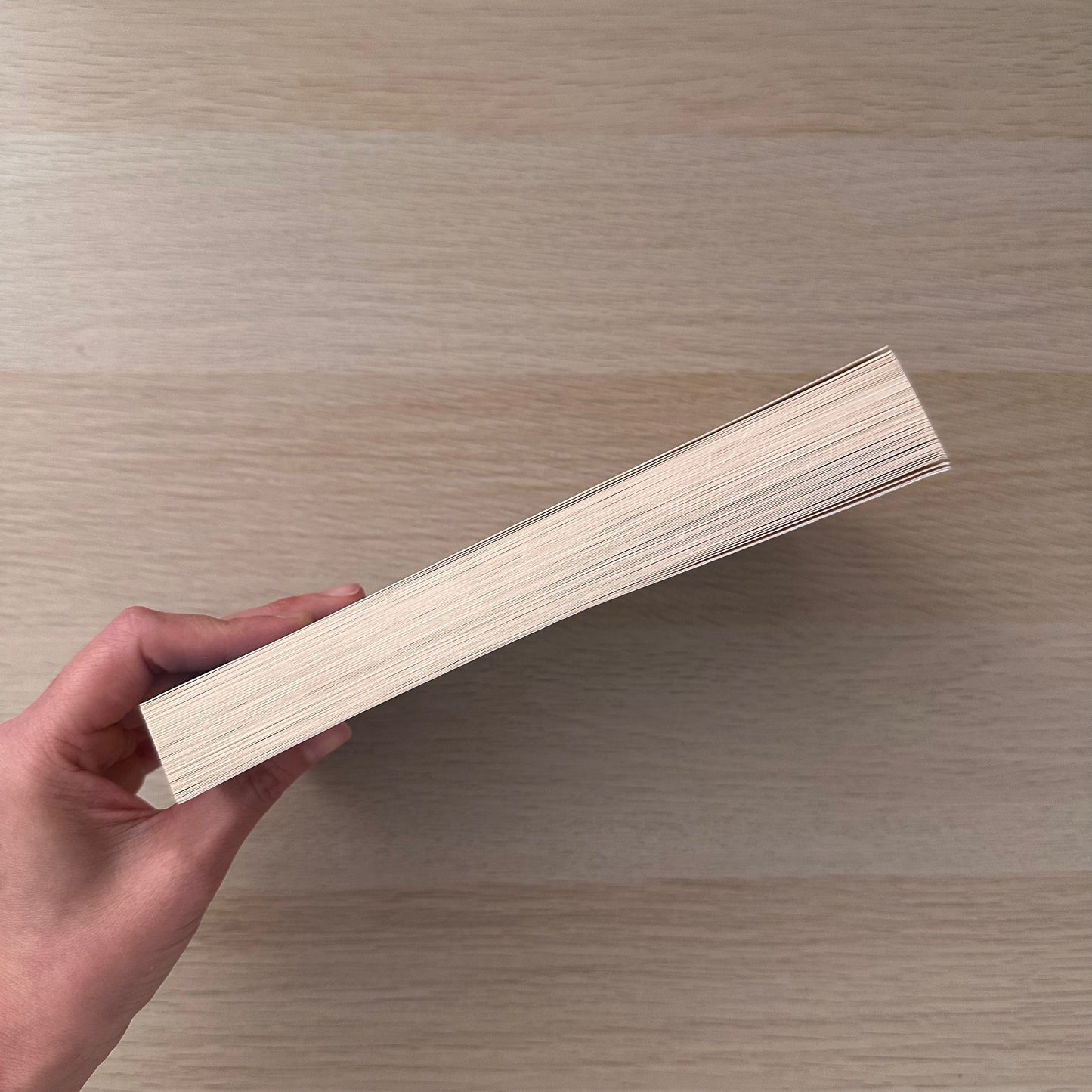 The Ice-Cream Makers | Paperback | Ernest Van Der Kwast