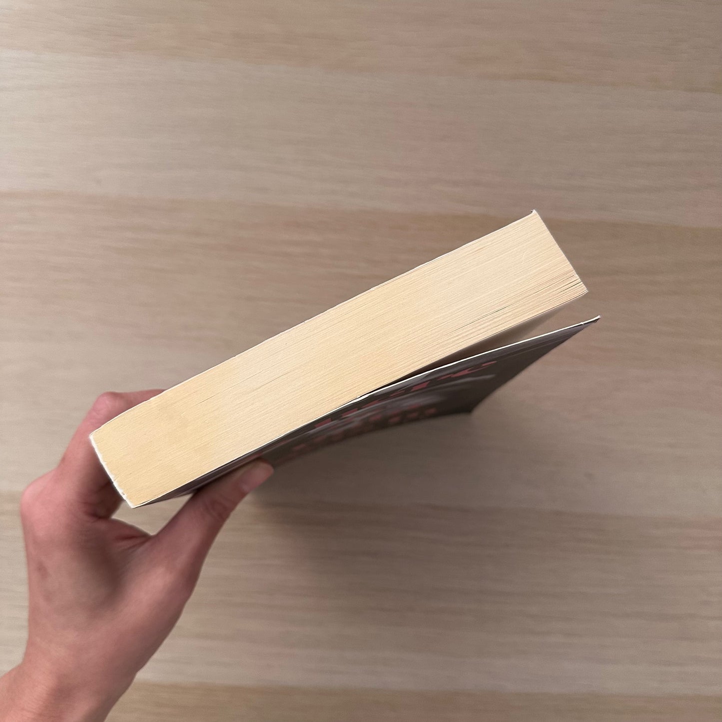 Where the Light Gets In | Paperback | Zoe Coyle