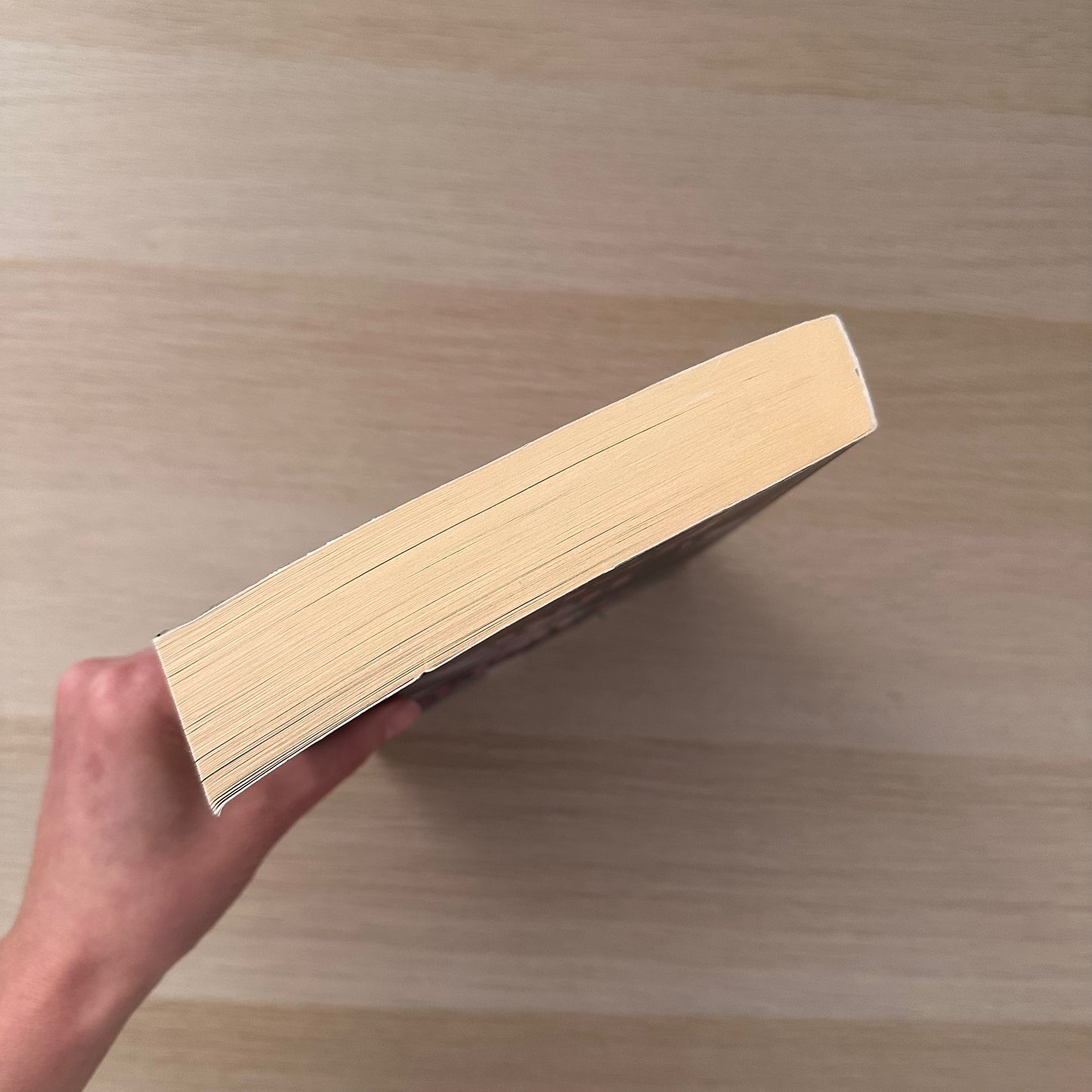 Where the Light Gets In | Paperback | Zoe Coyle