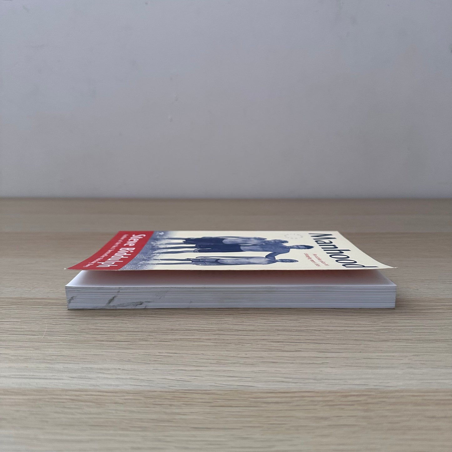 Manhood | Steve Biddulph