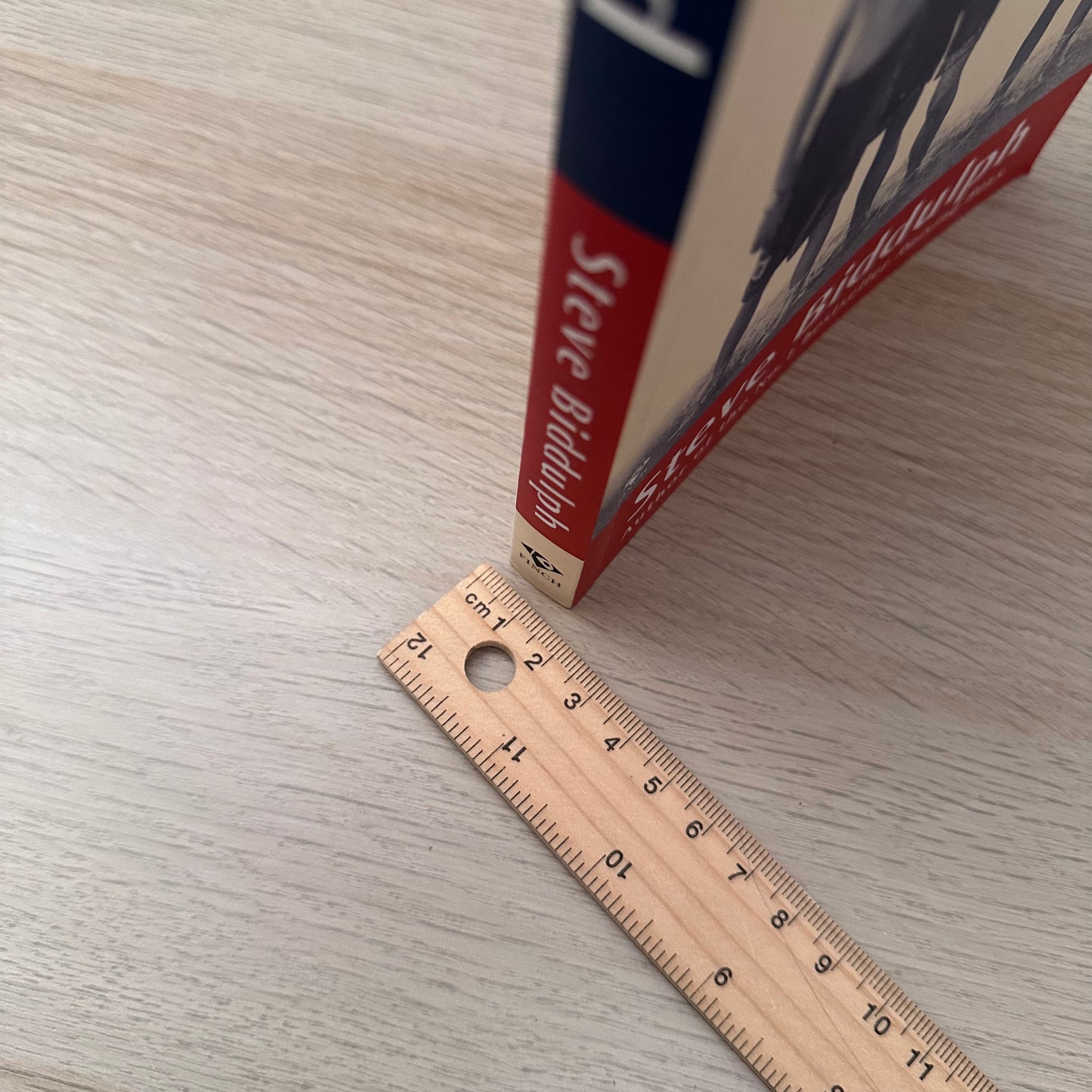 Manhood | Steve Biddulph