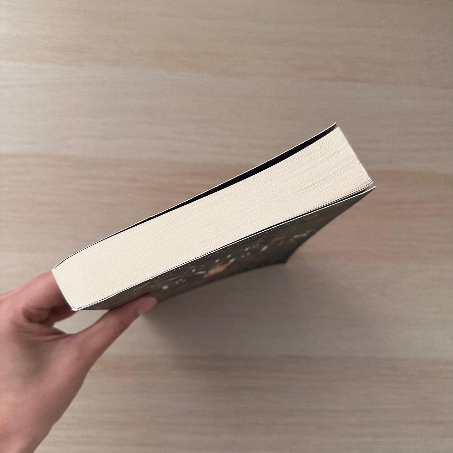 The Revels | Paperback | Stacey Thomas