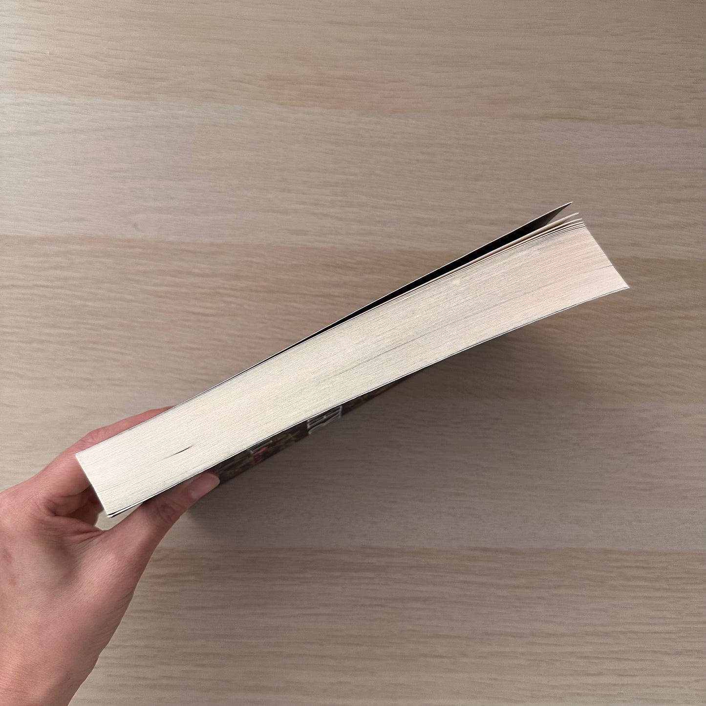 The Revels | Paperback | Stacey Thomas