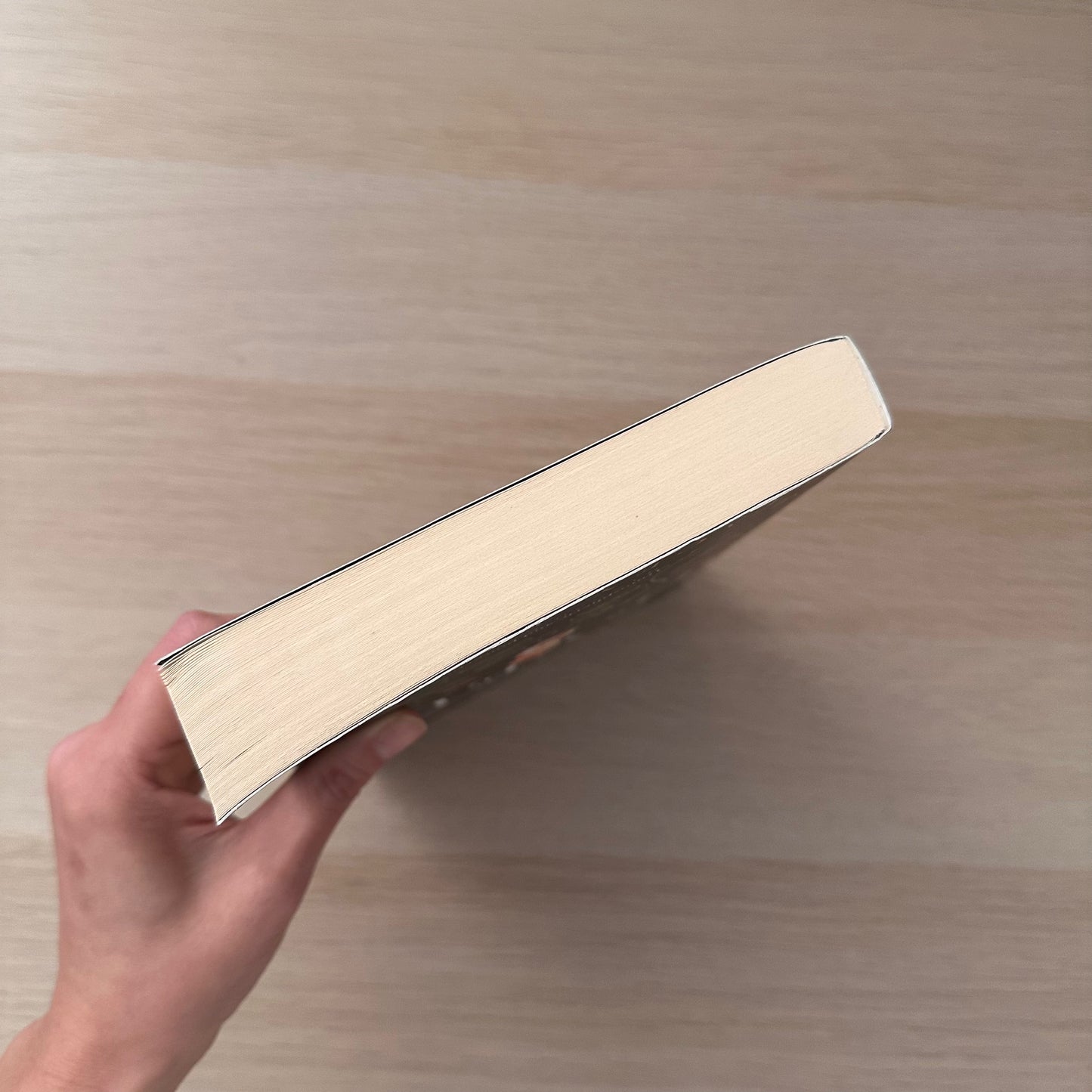 The Revels | Paperback | Stacey Thomas