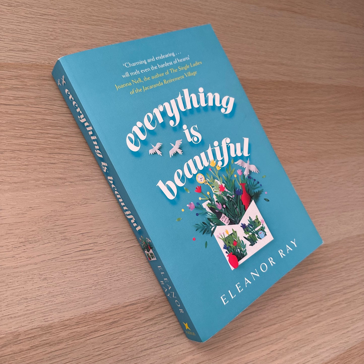 Everything is Beautiful | Paperback | Eleanor Ray