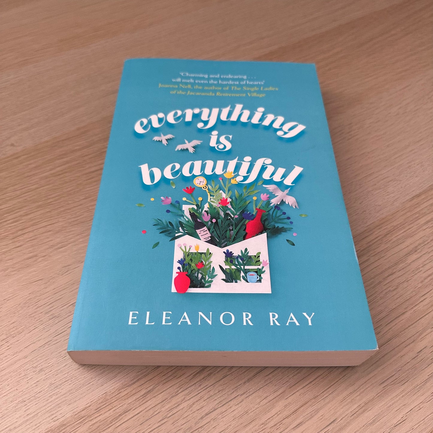 Everything is Beautiful | Paperback | Eleanor Ray
