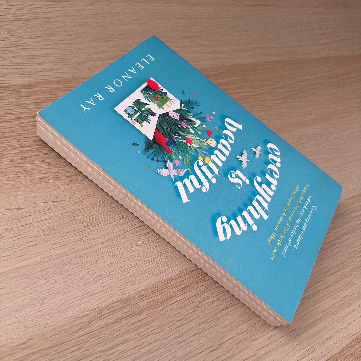 Everything is Beautiful | Paperback | Eleanor Ray