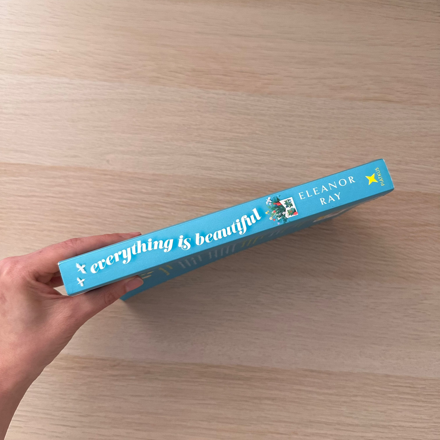 Everything is Beautiful | Paperback | Eleanor Ray