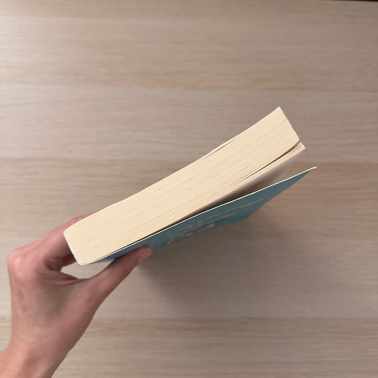 Everything is Beautiful | Paperback | Eleanor Ray