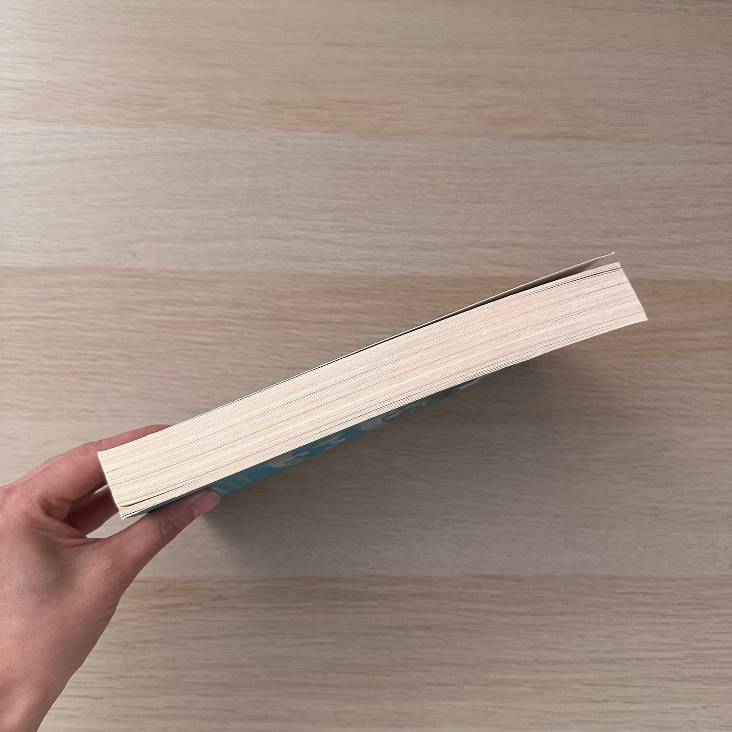 Everything is Beautiful | Paperback | Eleanor Ray