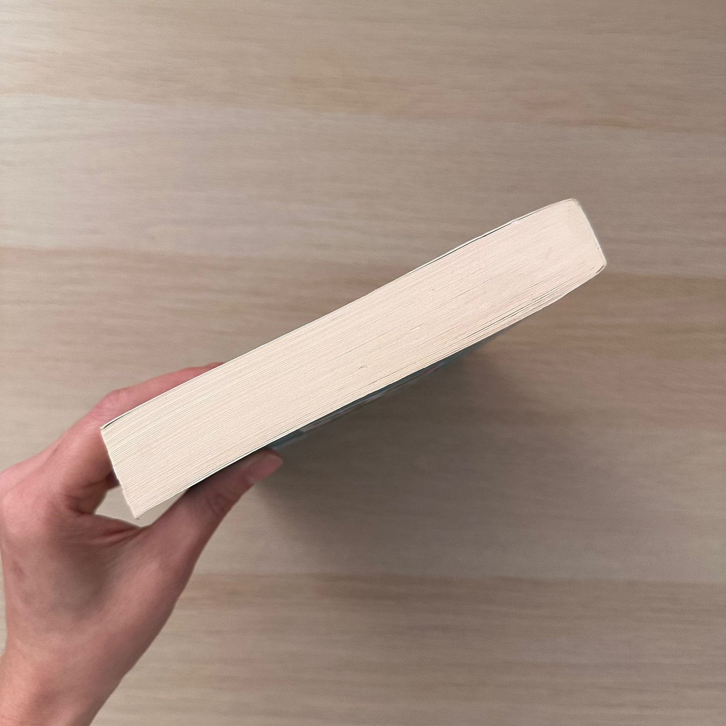 Everything is Beautiful | Paperback | Eleanor Ray