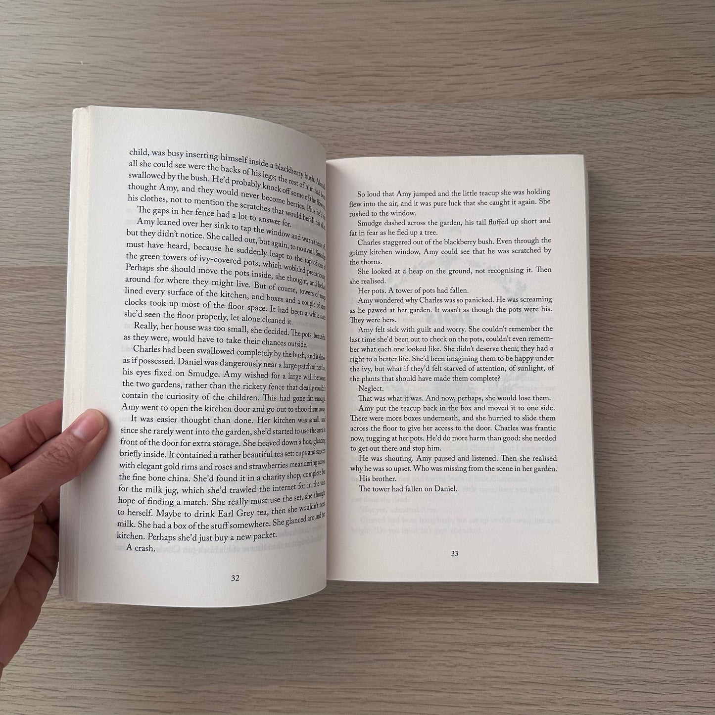 Everything is Beautiful | Paperback | Eleanor Ray