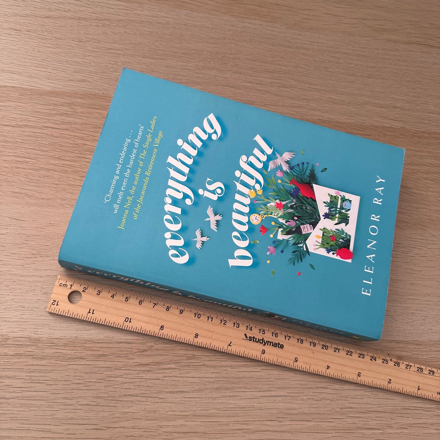 Everything is Beautiful | Paperback | Eleanor Ray