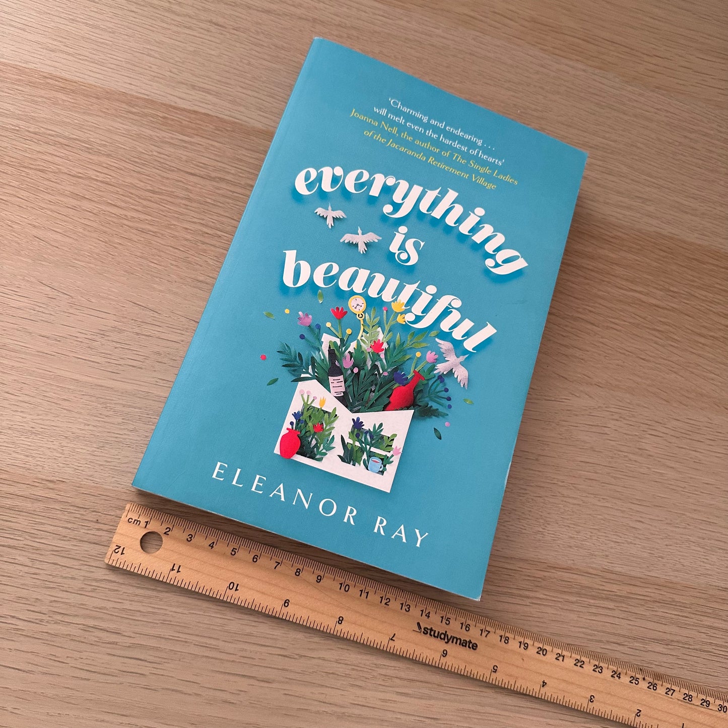 Everything is Beautiful | Paperback | Eleanor Ray