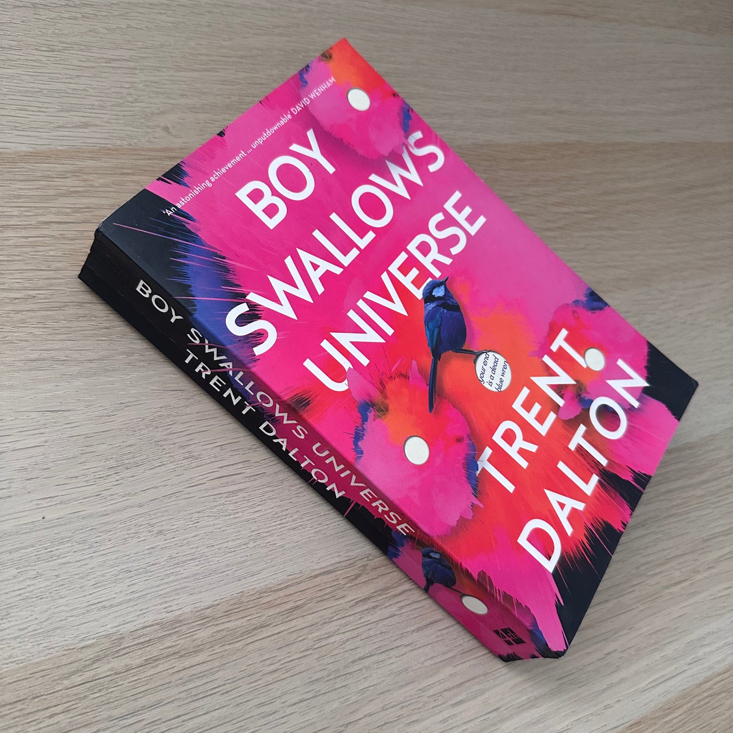 Boy Swallows Universe | Paperback | Trent Dalton