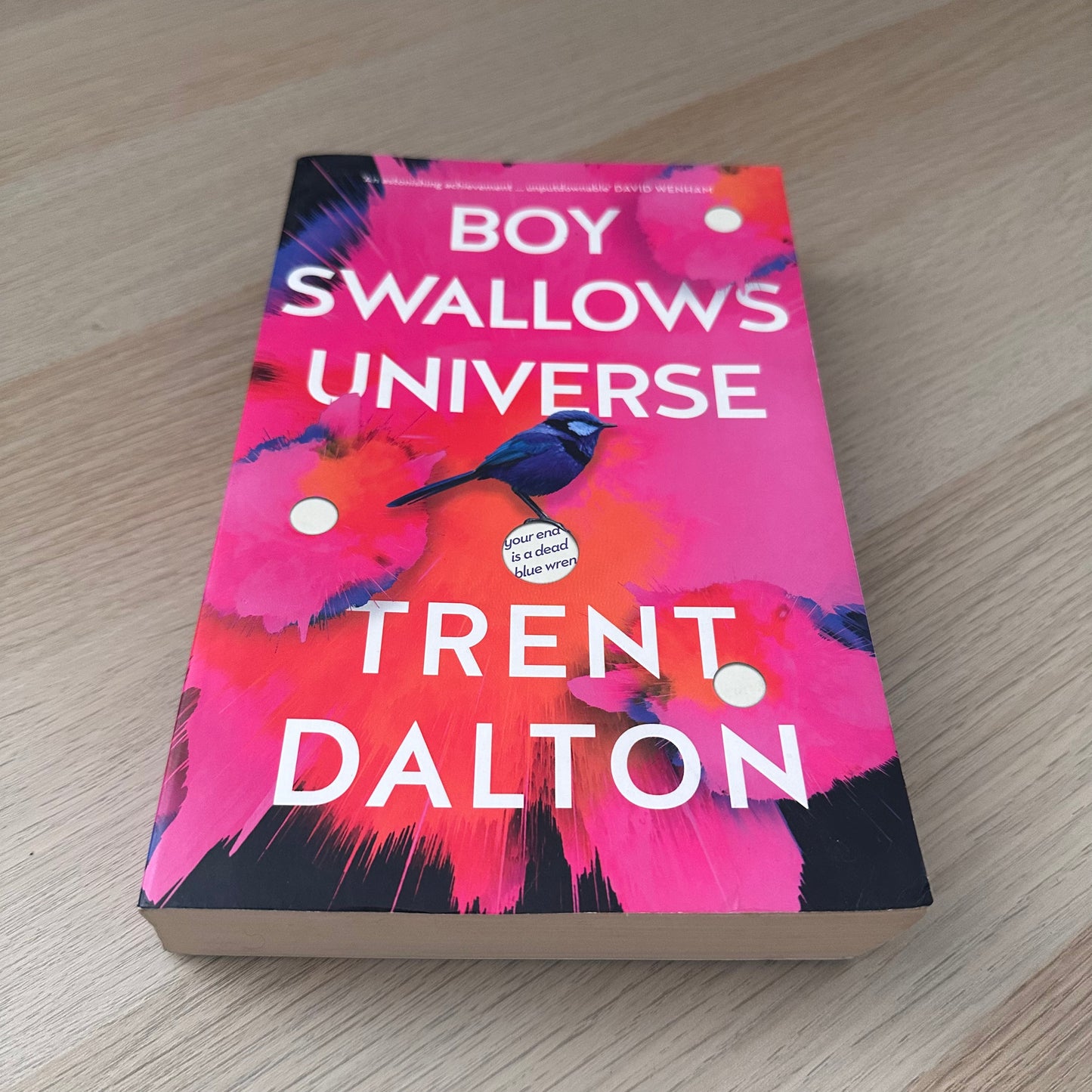 Boy Swallows Universe | Paperback | Trent Dalton