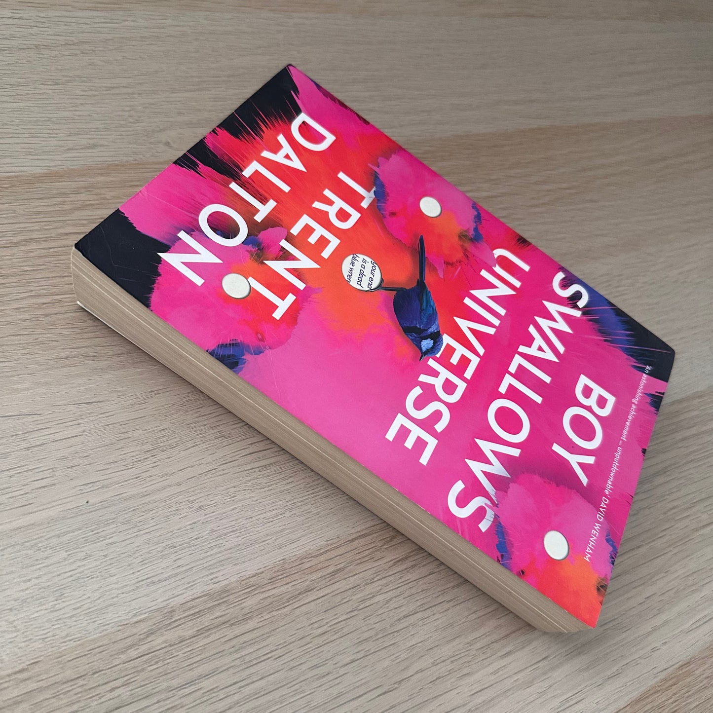 Boy Swallows Universe | Paperback | Trent Dalton