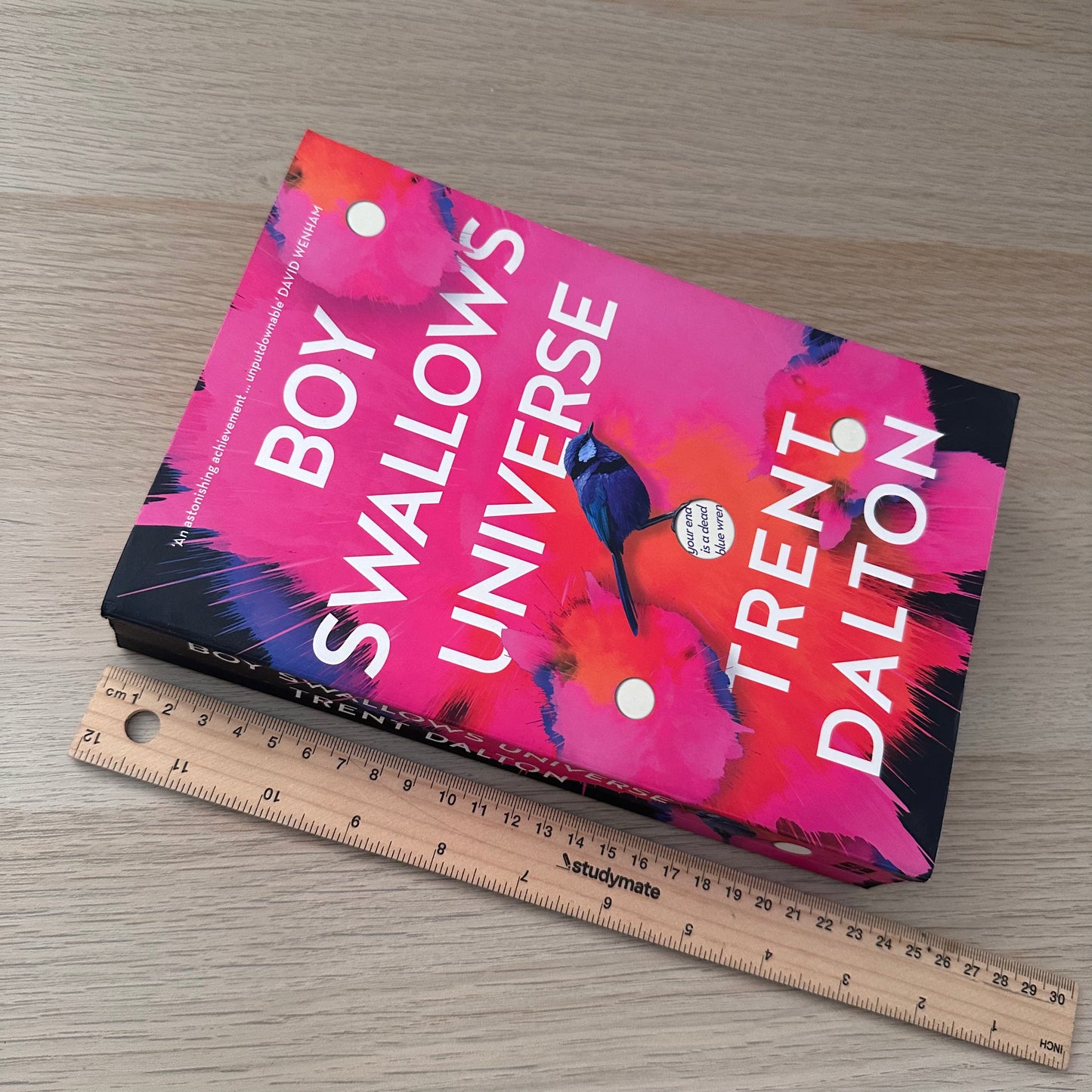 Boy Swallows Universe | Paperback | Trent Dalton