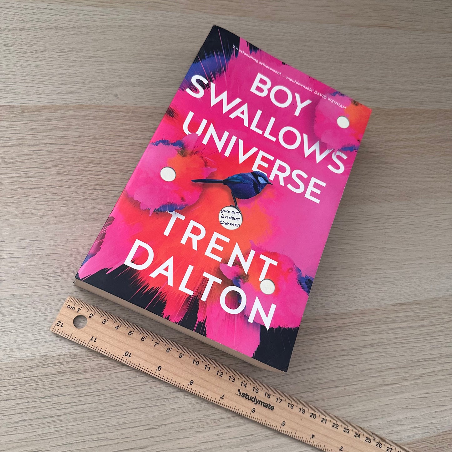 Boy Swallows Universe | Paperback | Trent Dalton