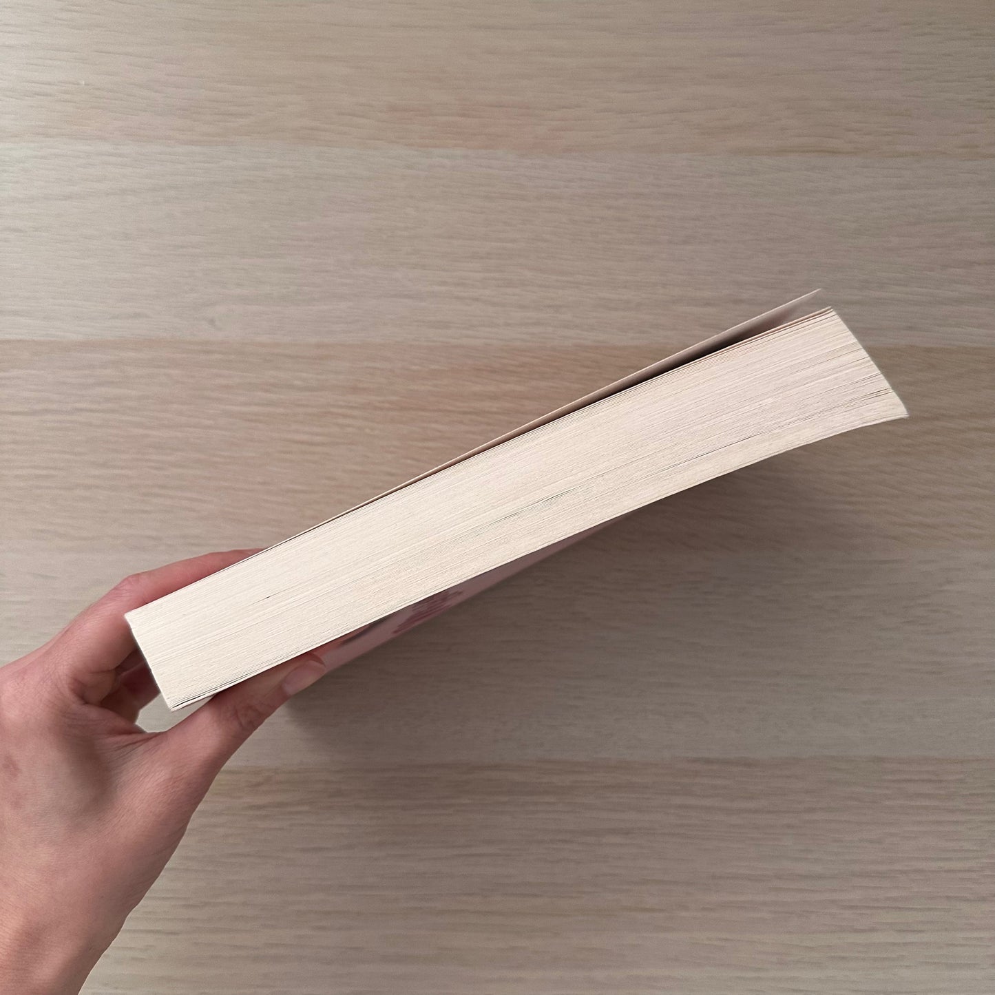 Misconception | Paperback | Rebecca Freeborn