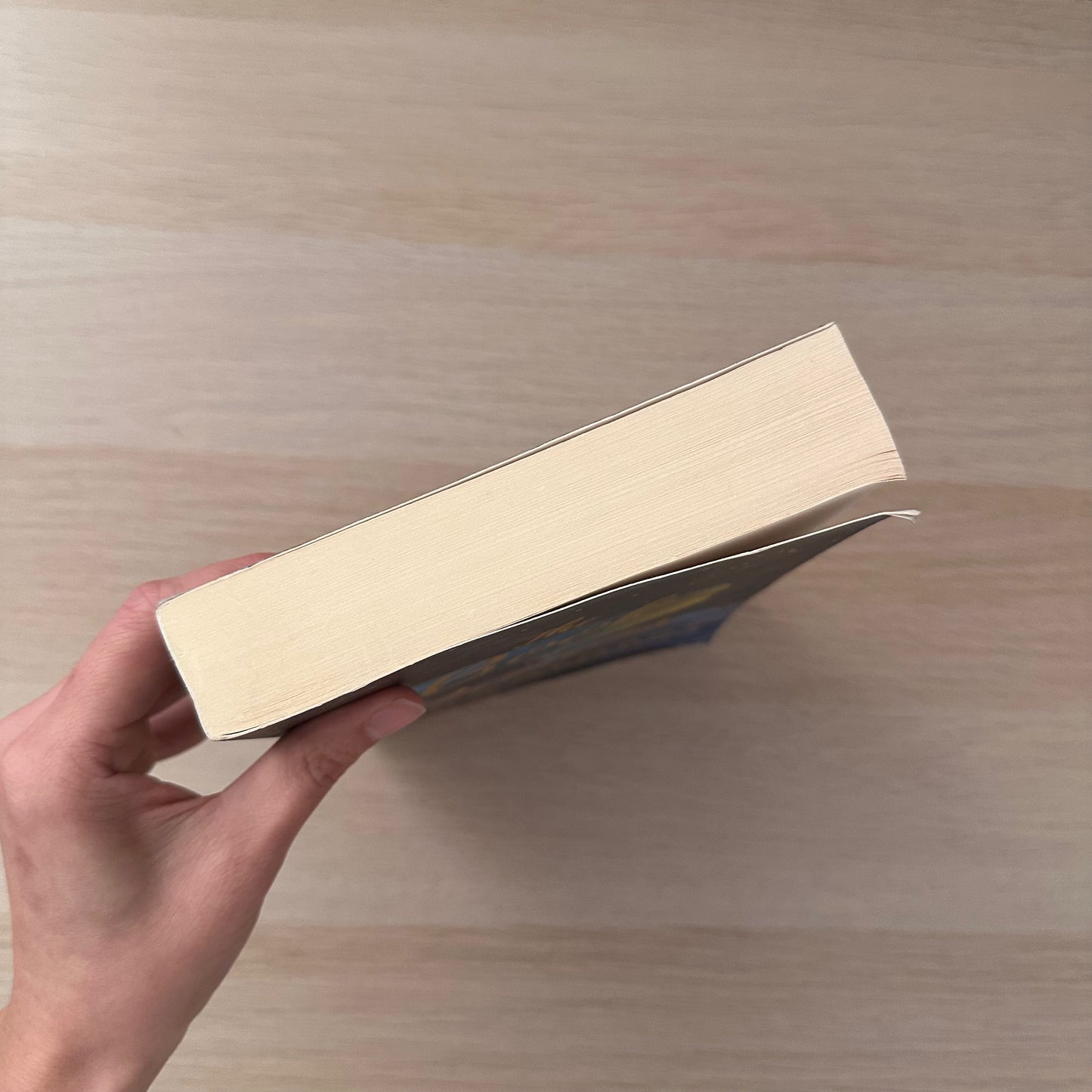The Book of Dreams | Paperback | Nina George