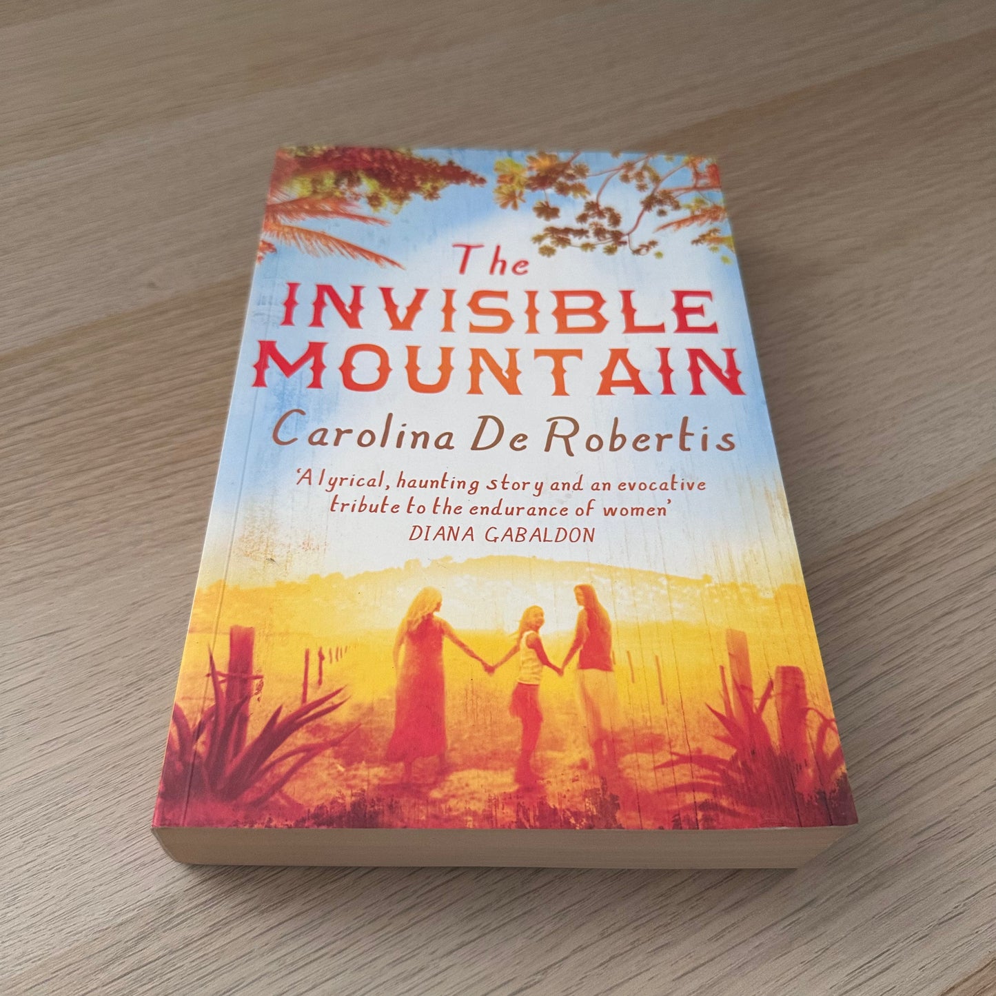 The Invisible Mountain | Paperback | Carolina De Rovertis
