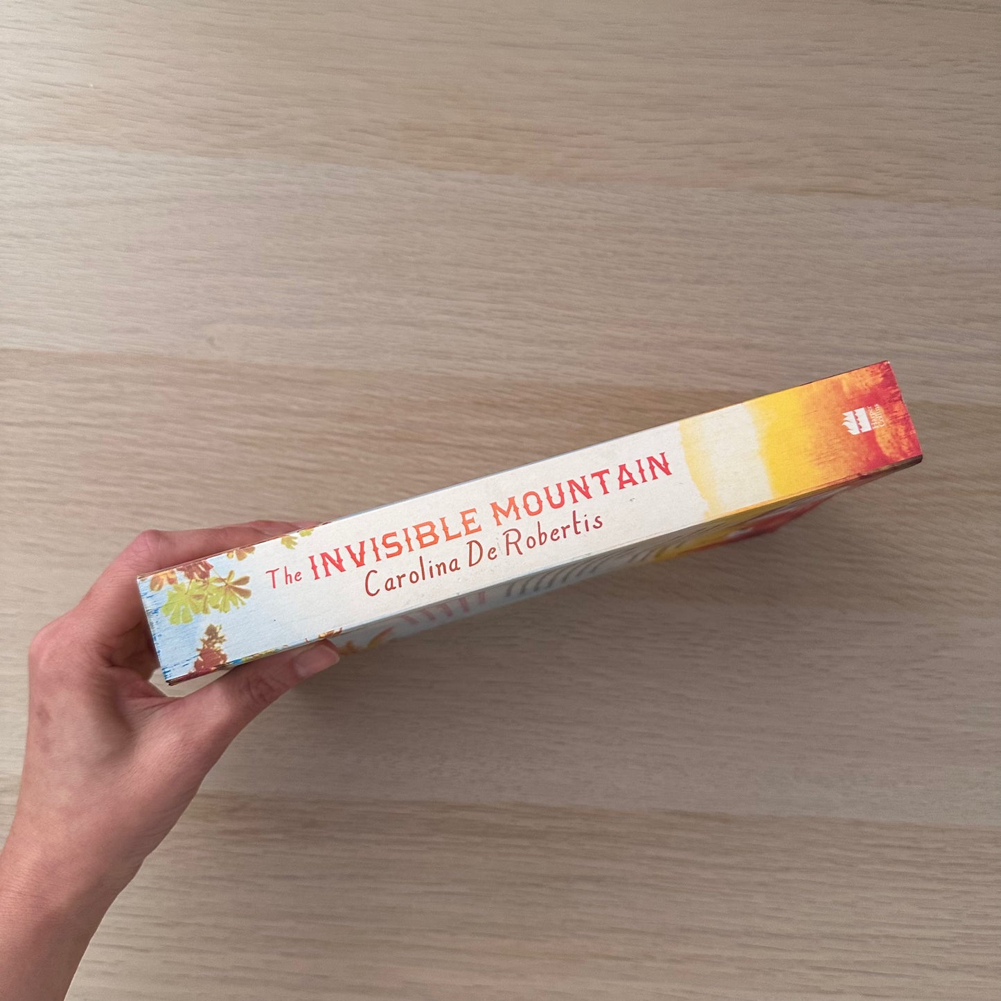 The Invisible Mountain | Paperback | Carolina De Rovertis