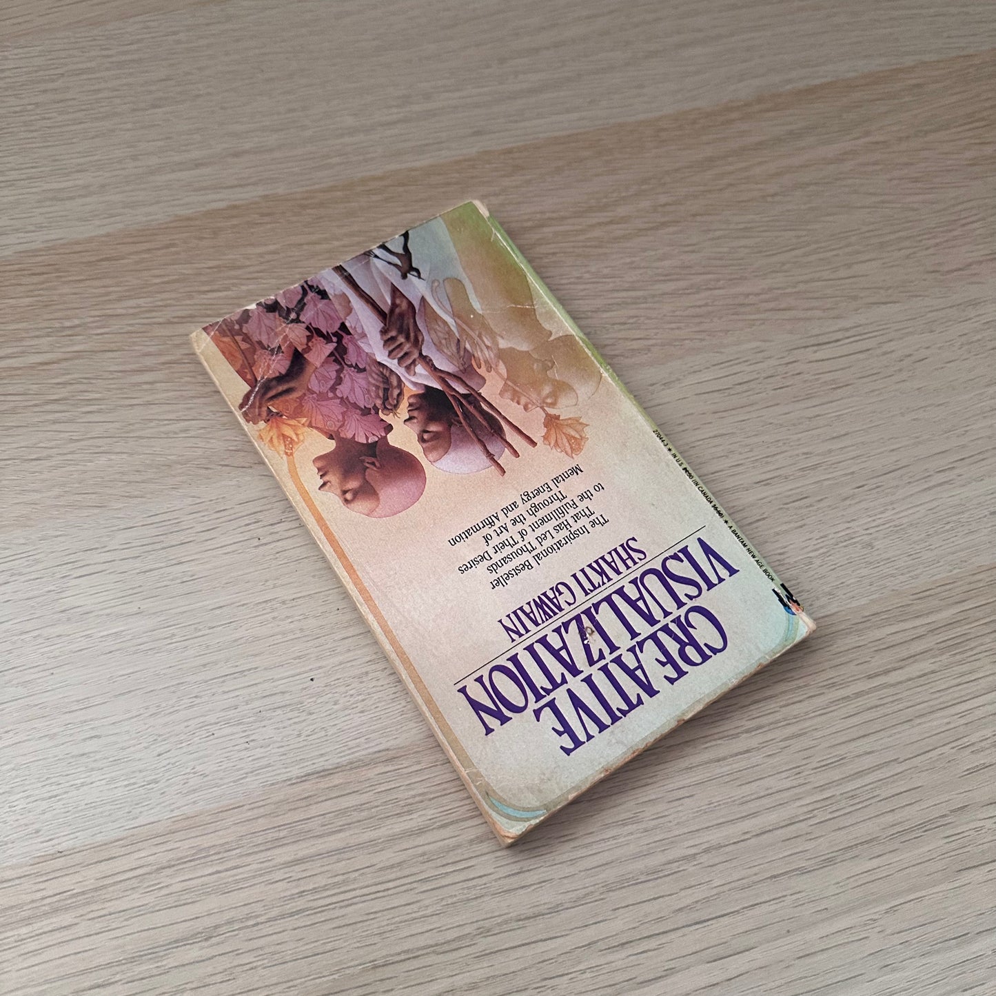 Creative Visualization | Shakti Gawain