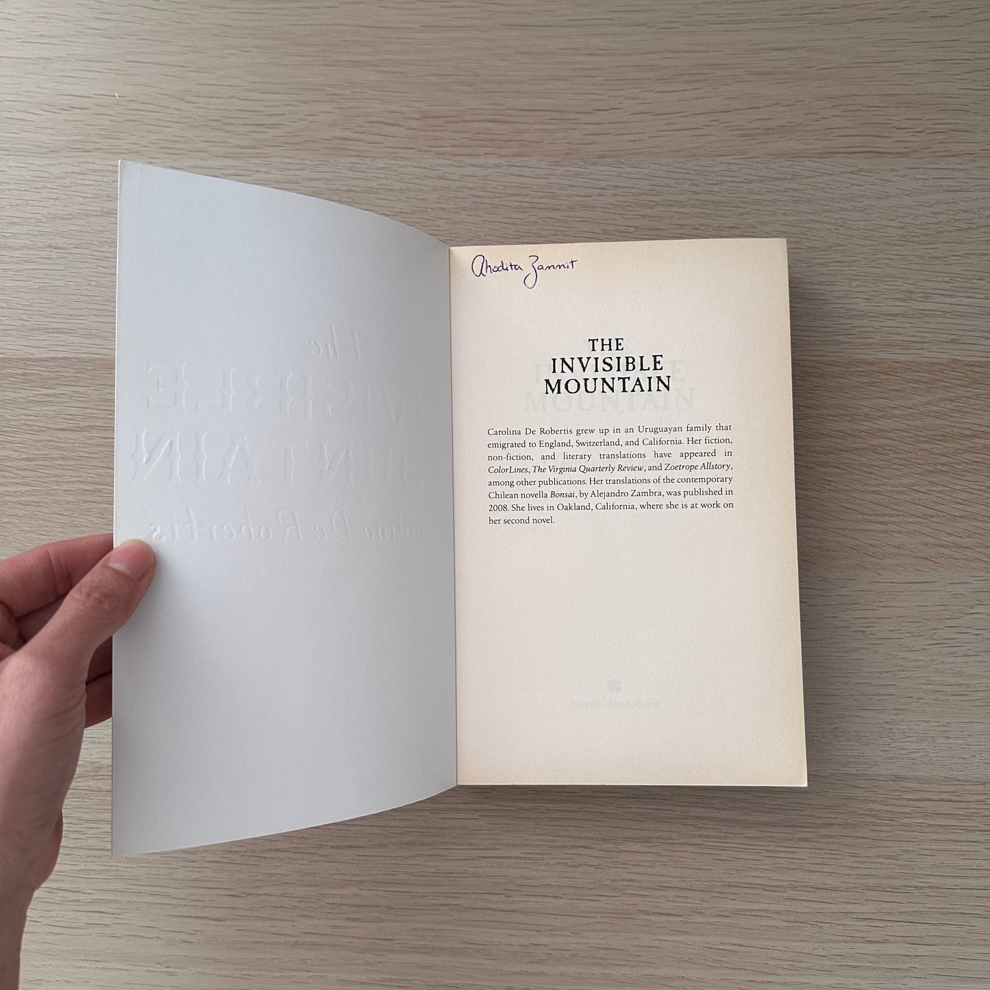 The Invisible Mountain | Paperback | Carolina De Rovertis